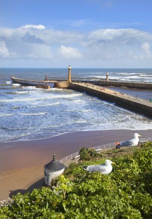 whitby pier 2 sm.jpg